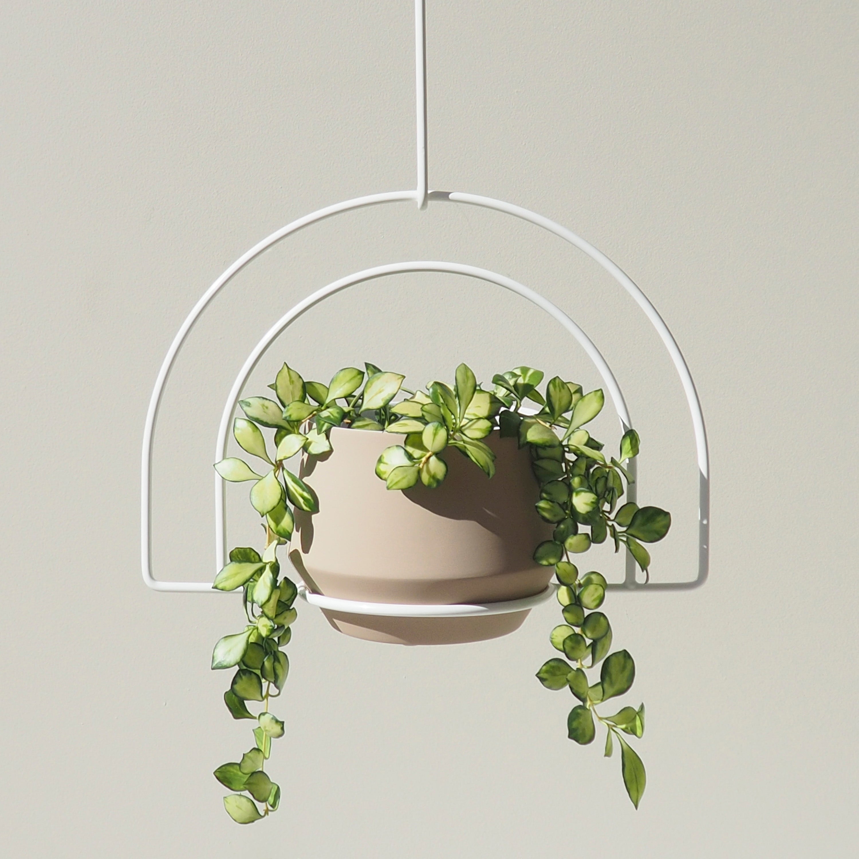 Handcrafted Steel White Rainbow Hanging Planter Australian Made
