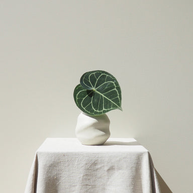 Handmade Curved Small Natural Ceramic Vase Australian Made