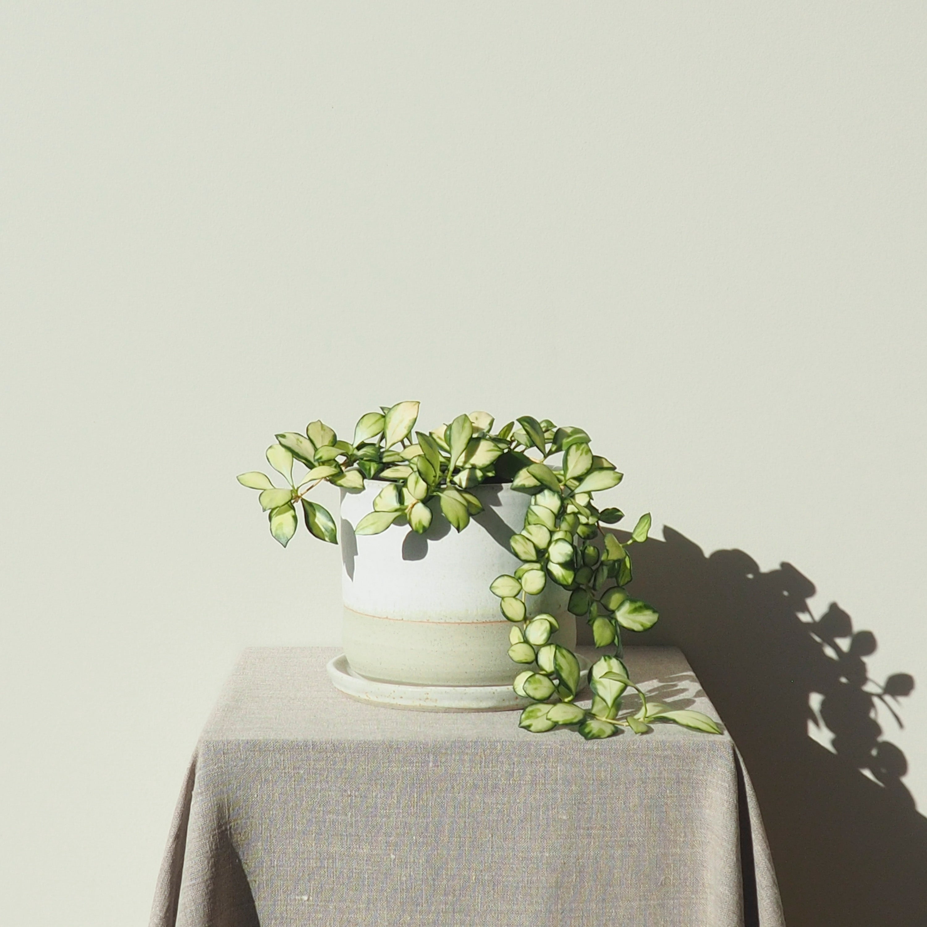 Handmade Medium Crème Ceramic Plant Pot Australian Made