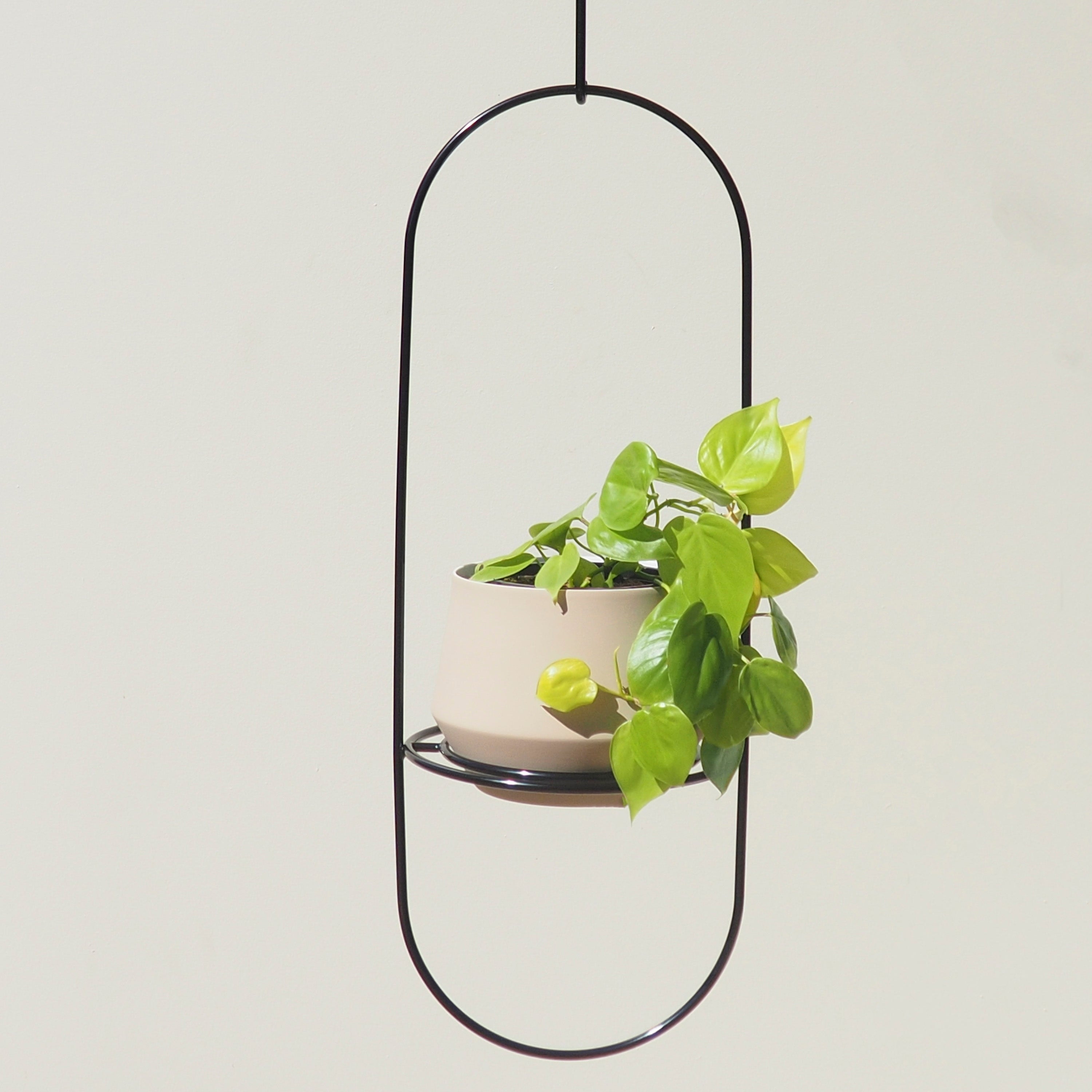 Handcrafted Steel Black Luna Hanging Planter Australian Made