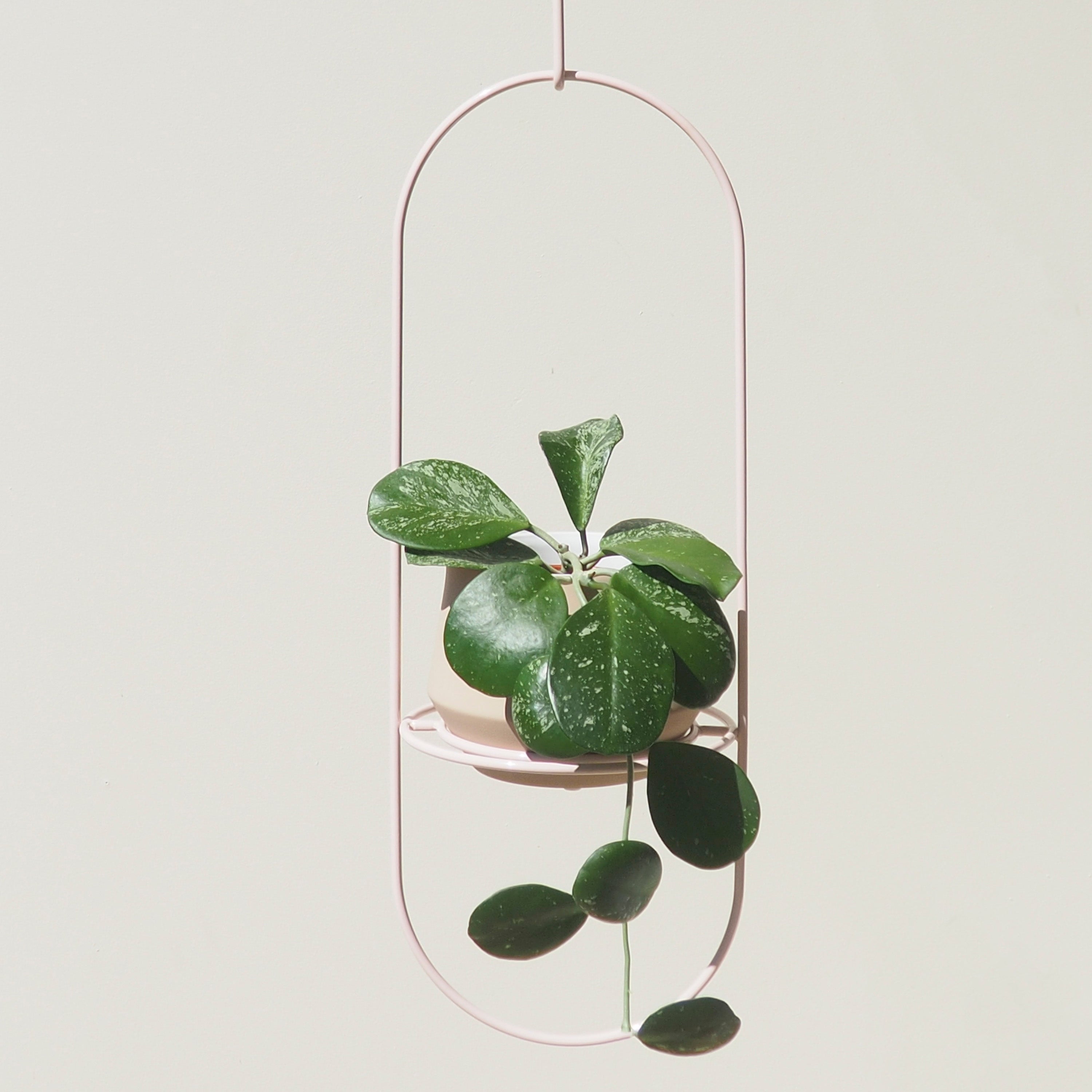 Handcrafted Steel Pink Luna Hanging Planter Australian Made