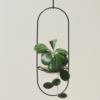 Handcrafted Steel Black Luna Hanging Planter Australian Made
