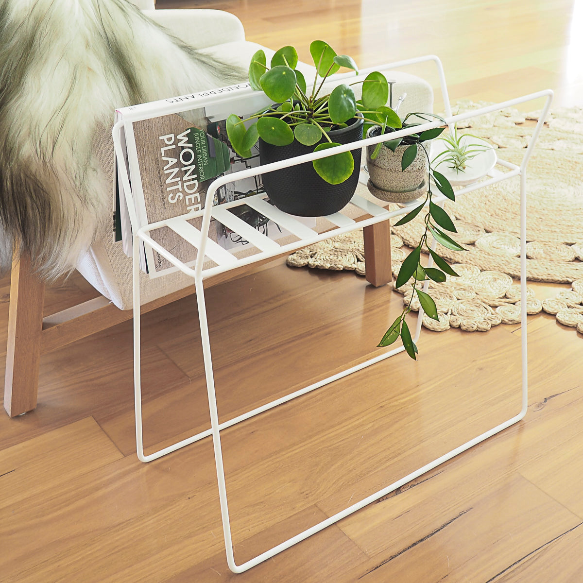 Handcrafted Steel White Ladder Plant Stand Australian Made  