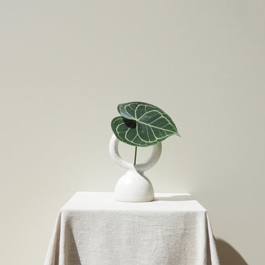 Handmade Femme Medium Natural Ceramic Vase Australian Made 