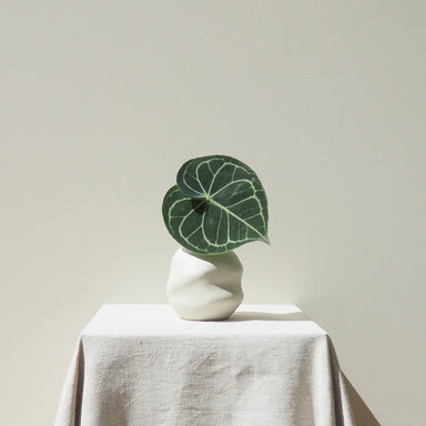 Handmade Curved Small Natural Ceramic Vase Australian Made 