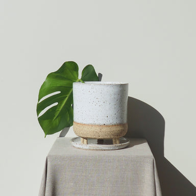 Handmade Large Horizon Ceramic Plant Pot Australian Made 
