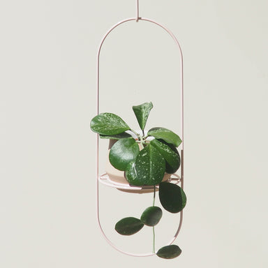 Handcrafted Steel Pink Luna Hanging Planter Australian Made 