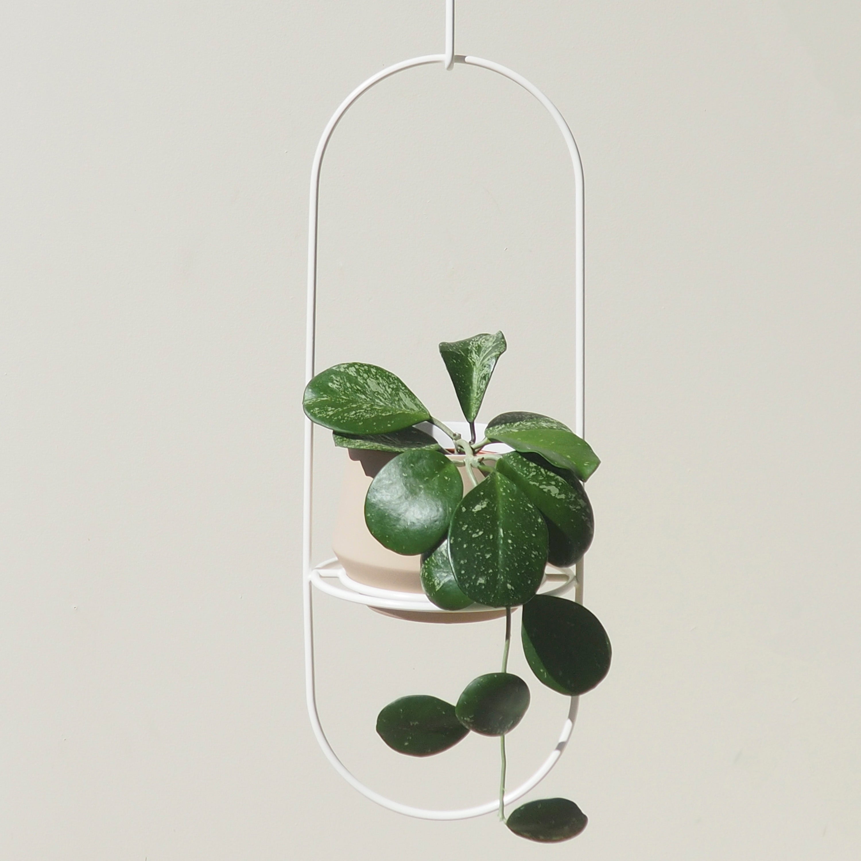 Handcrafted Steel White Luna Hanging Planter Australian Made 